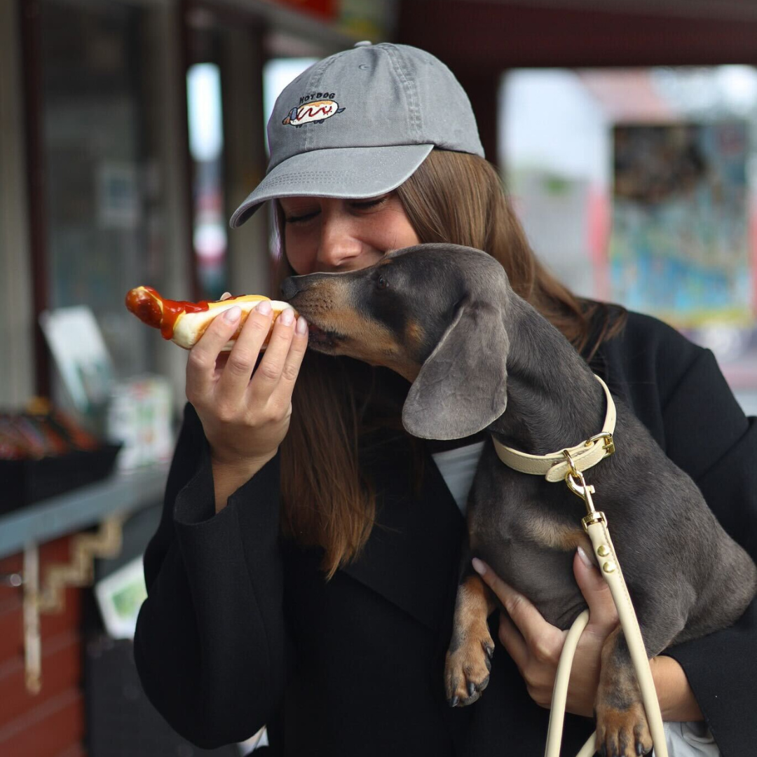 Dog friendly restaurants in the UK