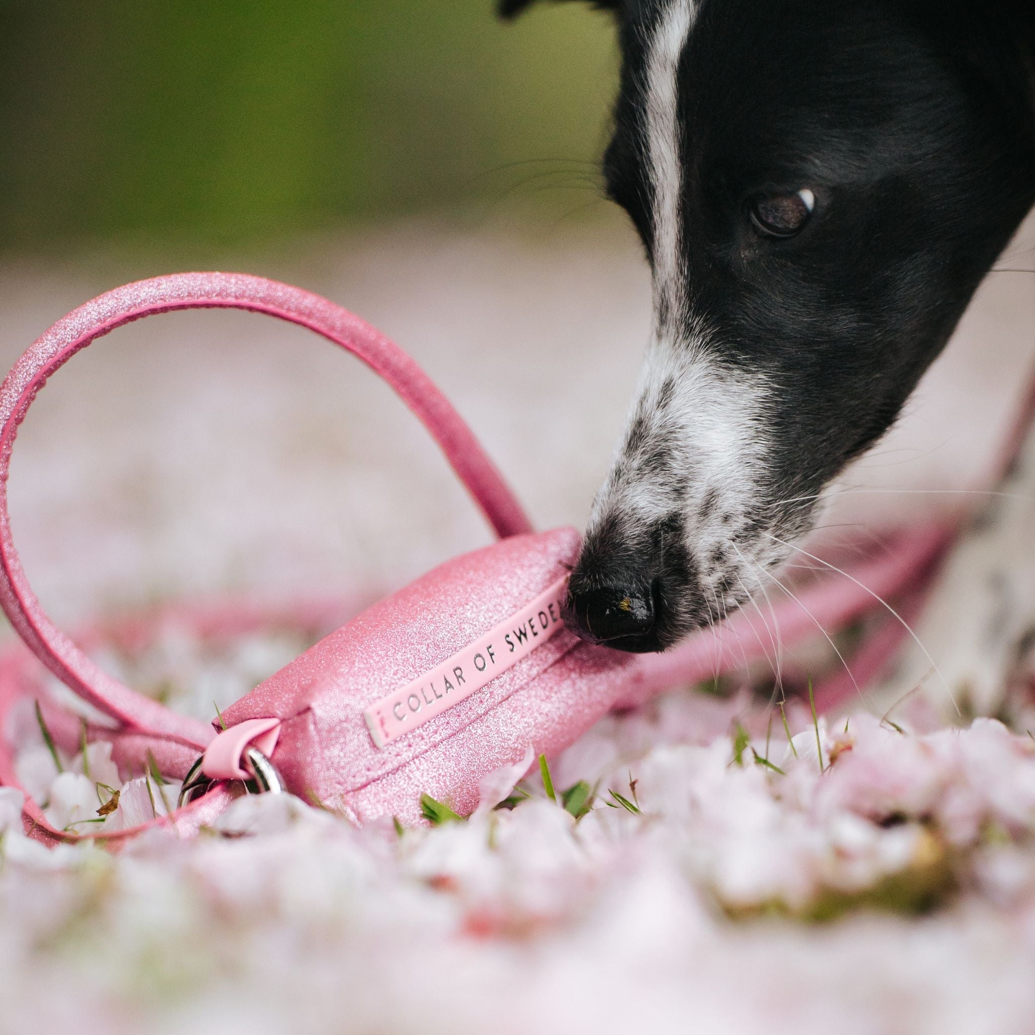 Dog Poop Bag Holders