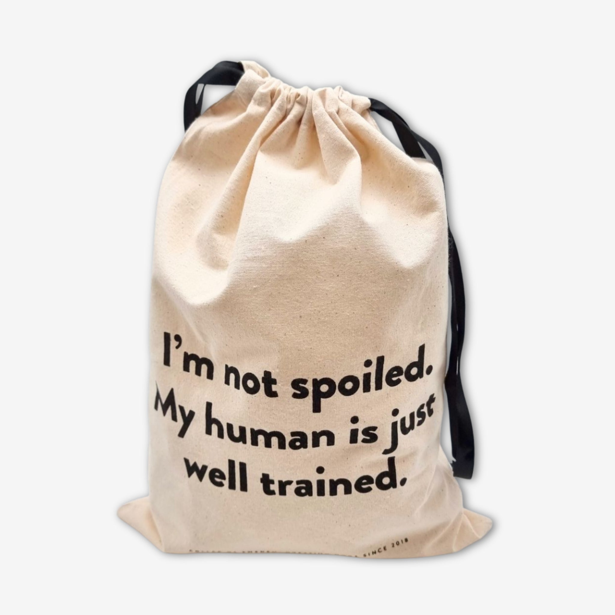 Dust Bag - Medium
