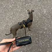 Black Poop Bag Holder