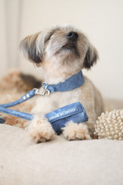 Blue Denim Poop Bag Holder