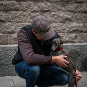 Brown Denim Cap - The Dogfather
