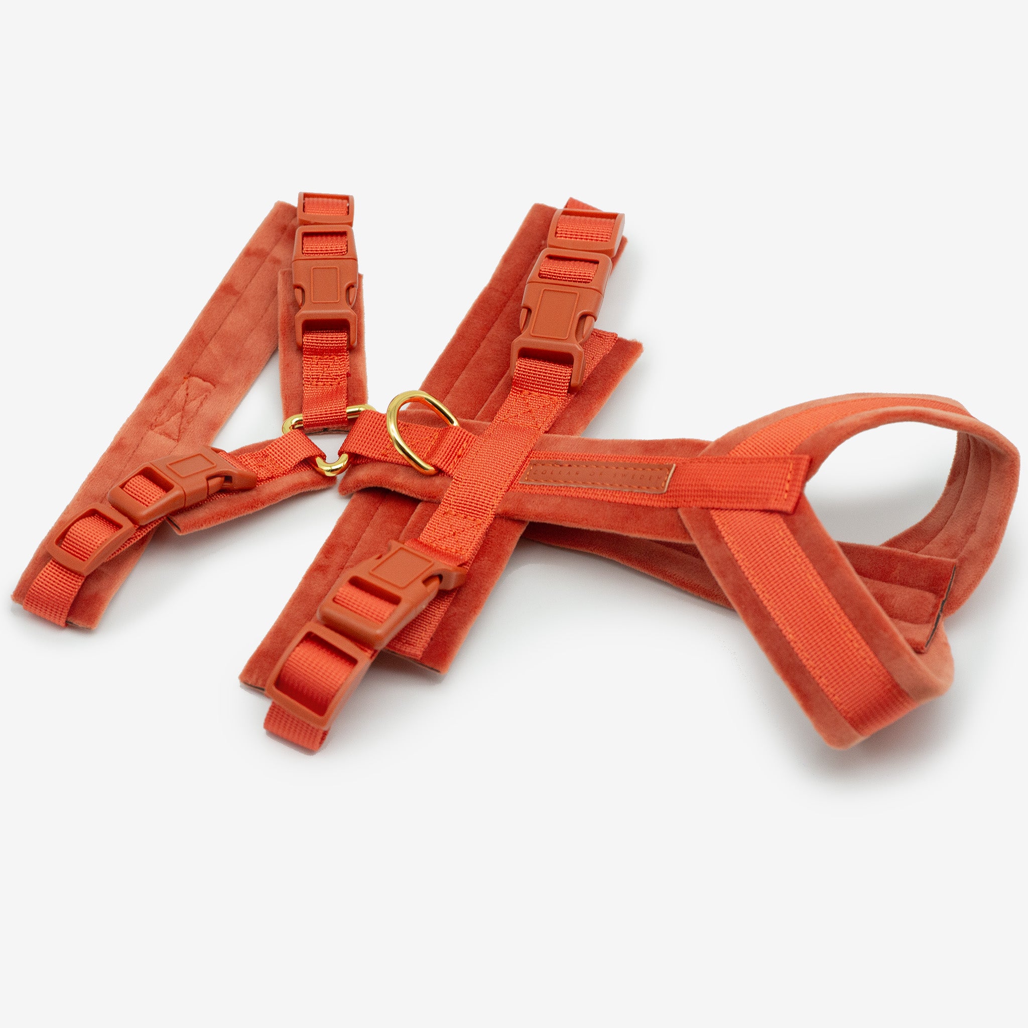 cognac-harness-whole.jpg