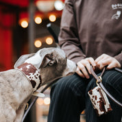 Cow Dog Collar Wide