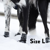 Dog Socks - 4 pack