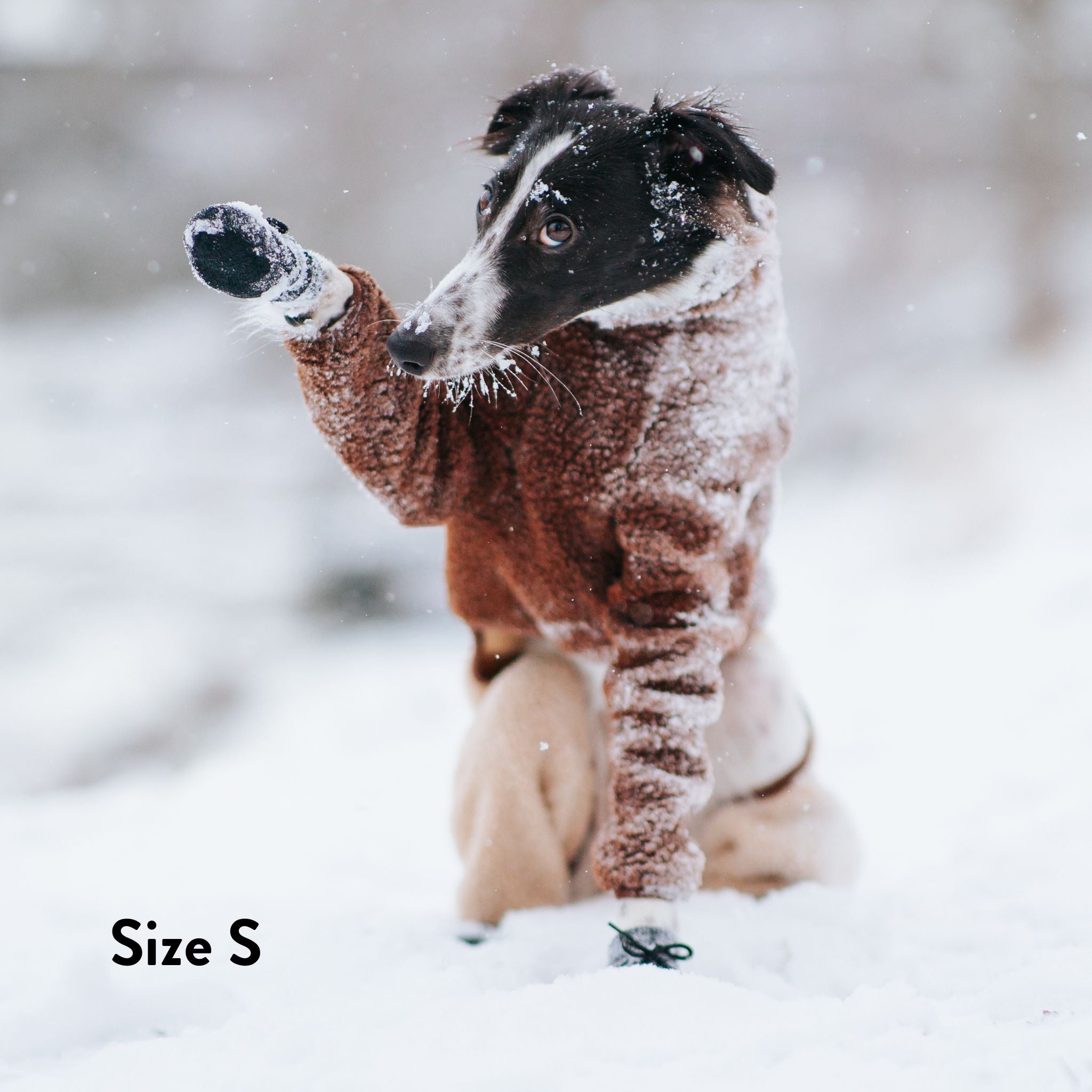 Dog Socks - 4 pack