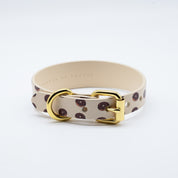 Donuts Dog Collar Thin