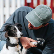 Green Denim Cap - The Dogfather