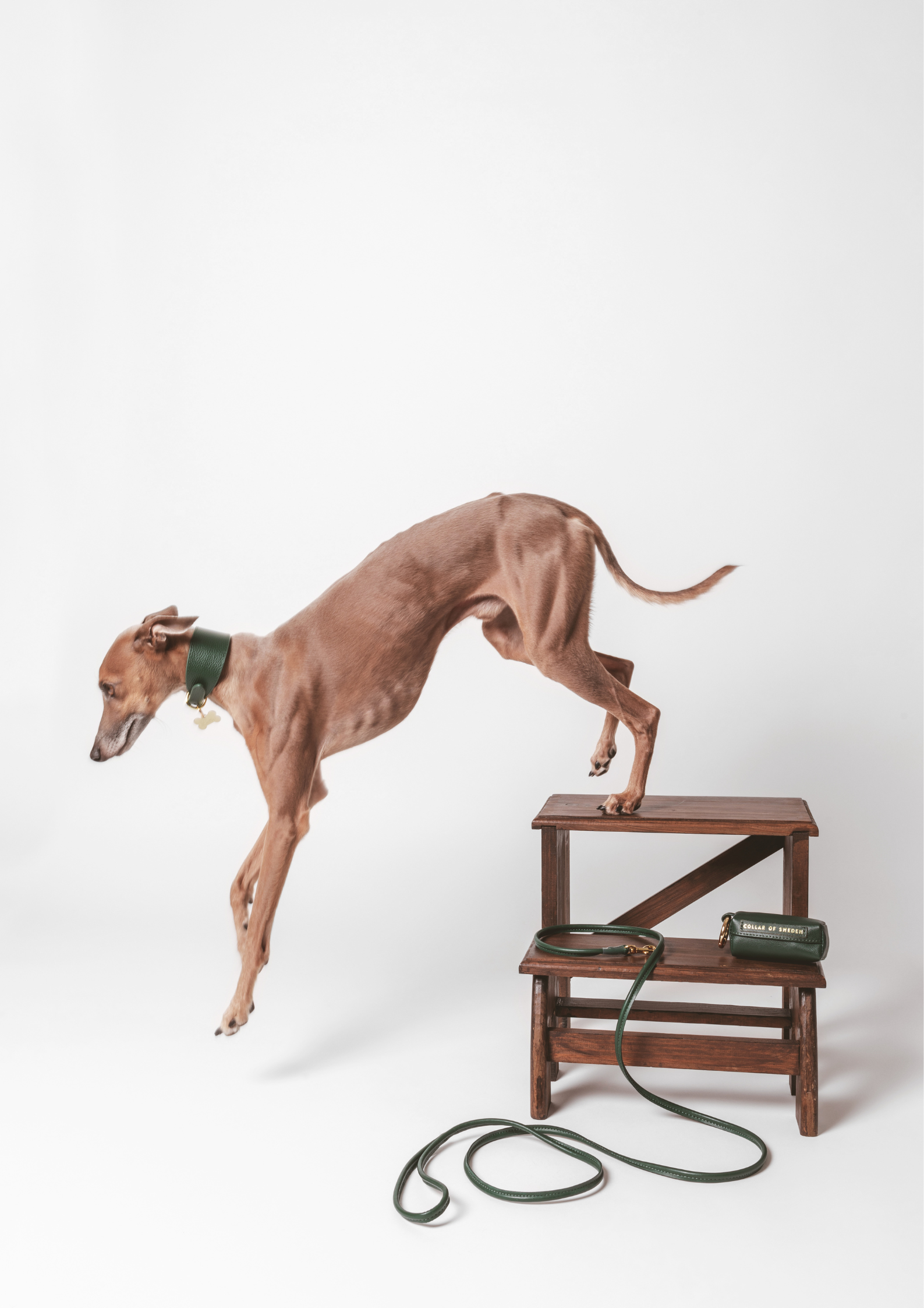Dark Green Dog Lead