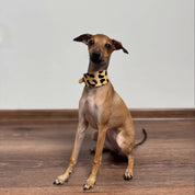 Leopard Dog Collar Wide