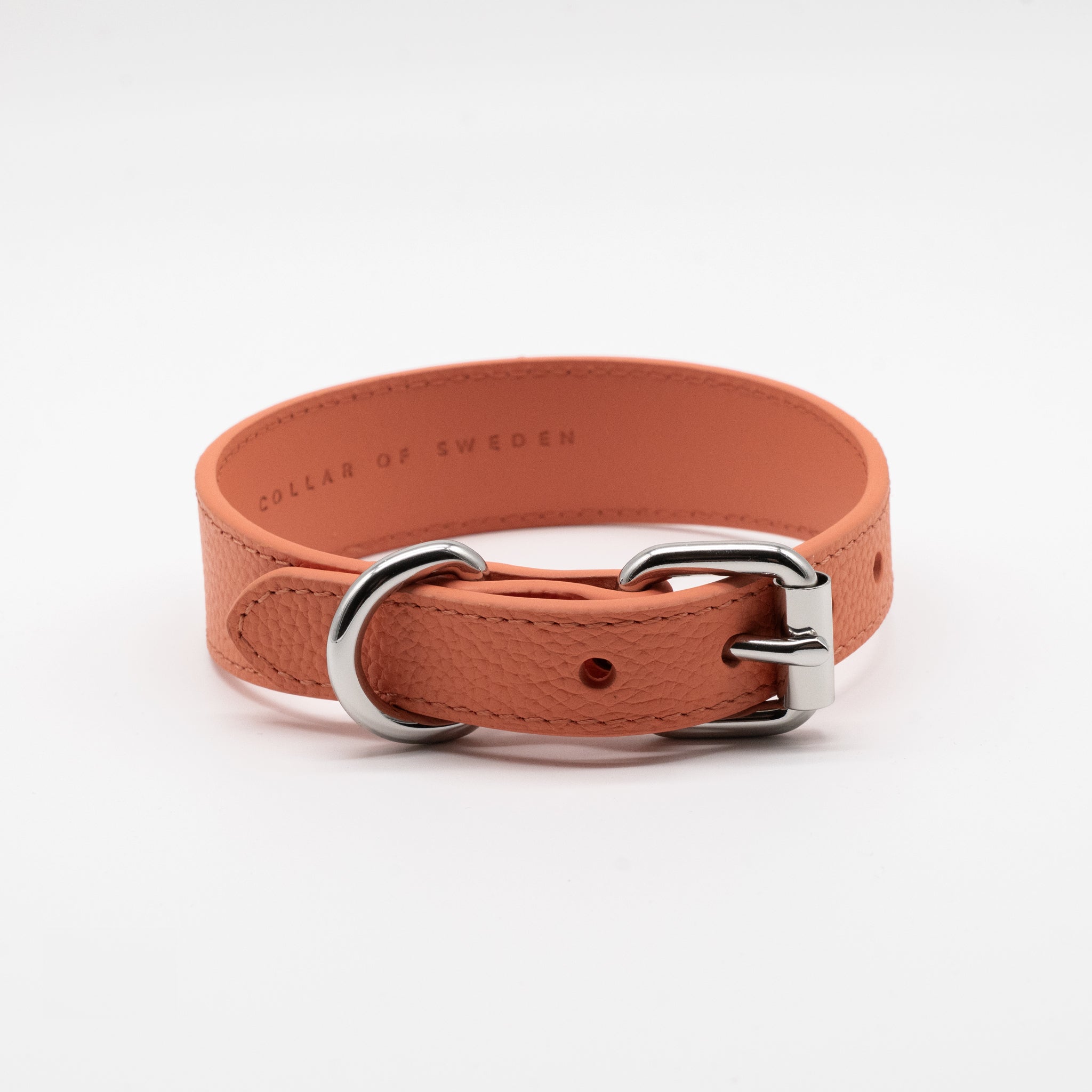 peach-dog-collar-thin-back.jpg