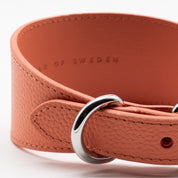 Peach Dog Collar Wide
