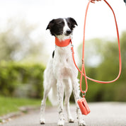 Peach Dog Collar Wide