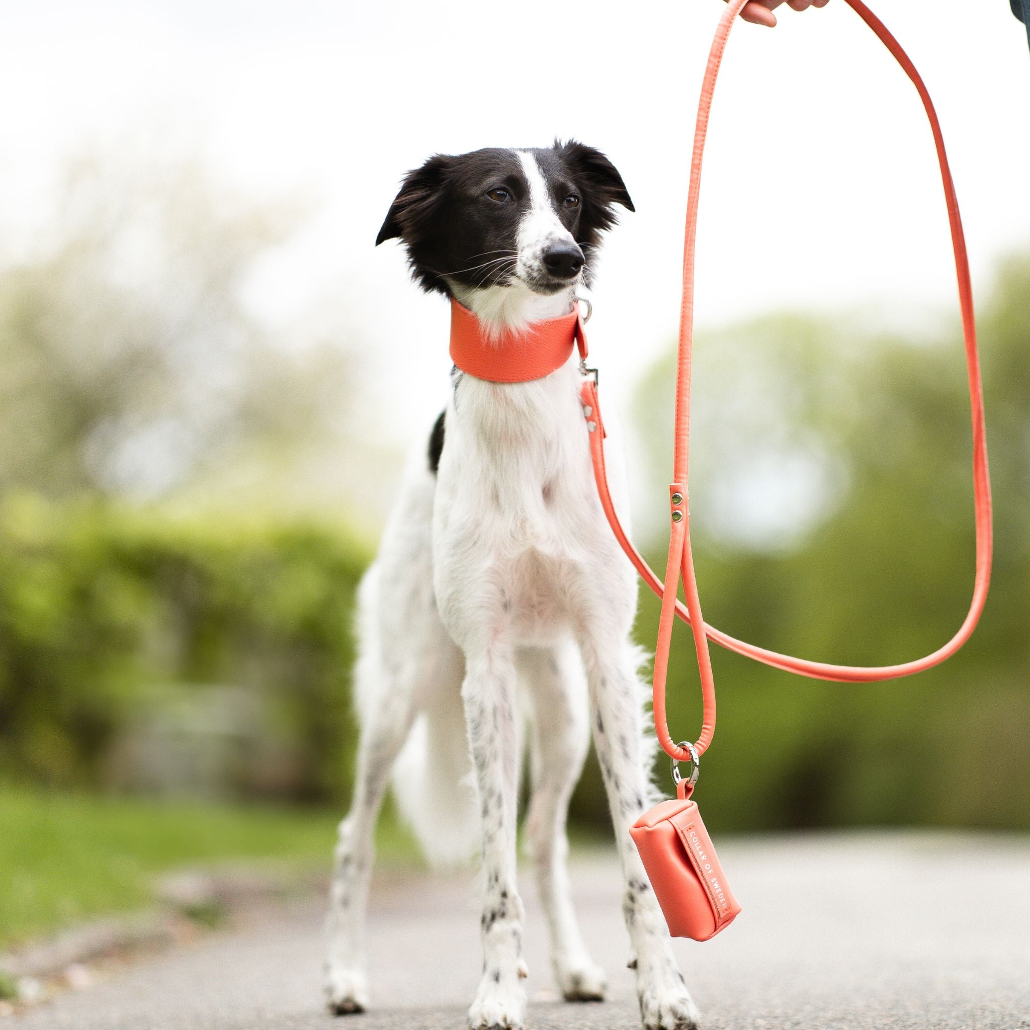 Peach Dog Collar Wide