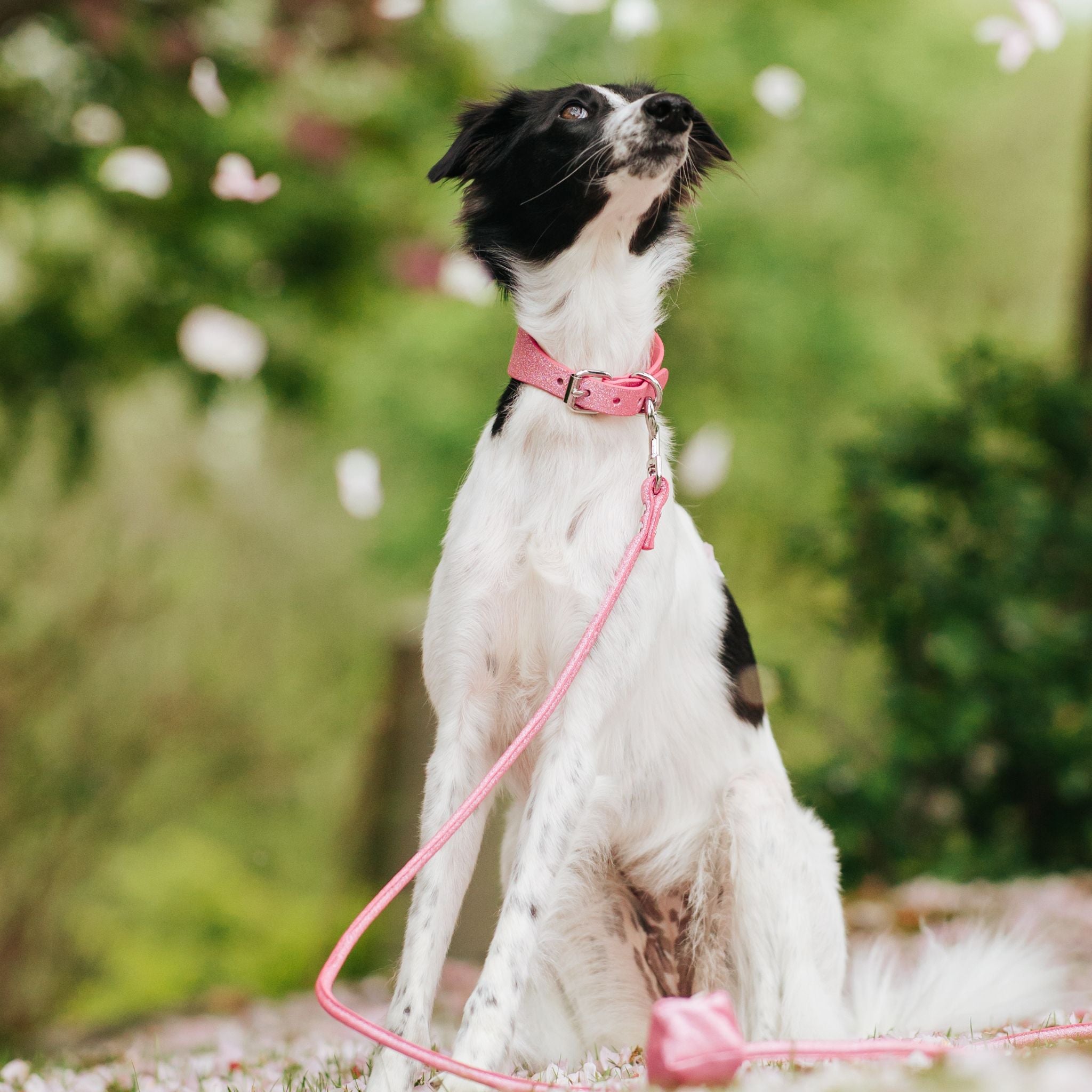 Pink Glitter Dog Collar Wide