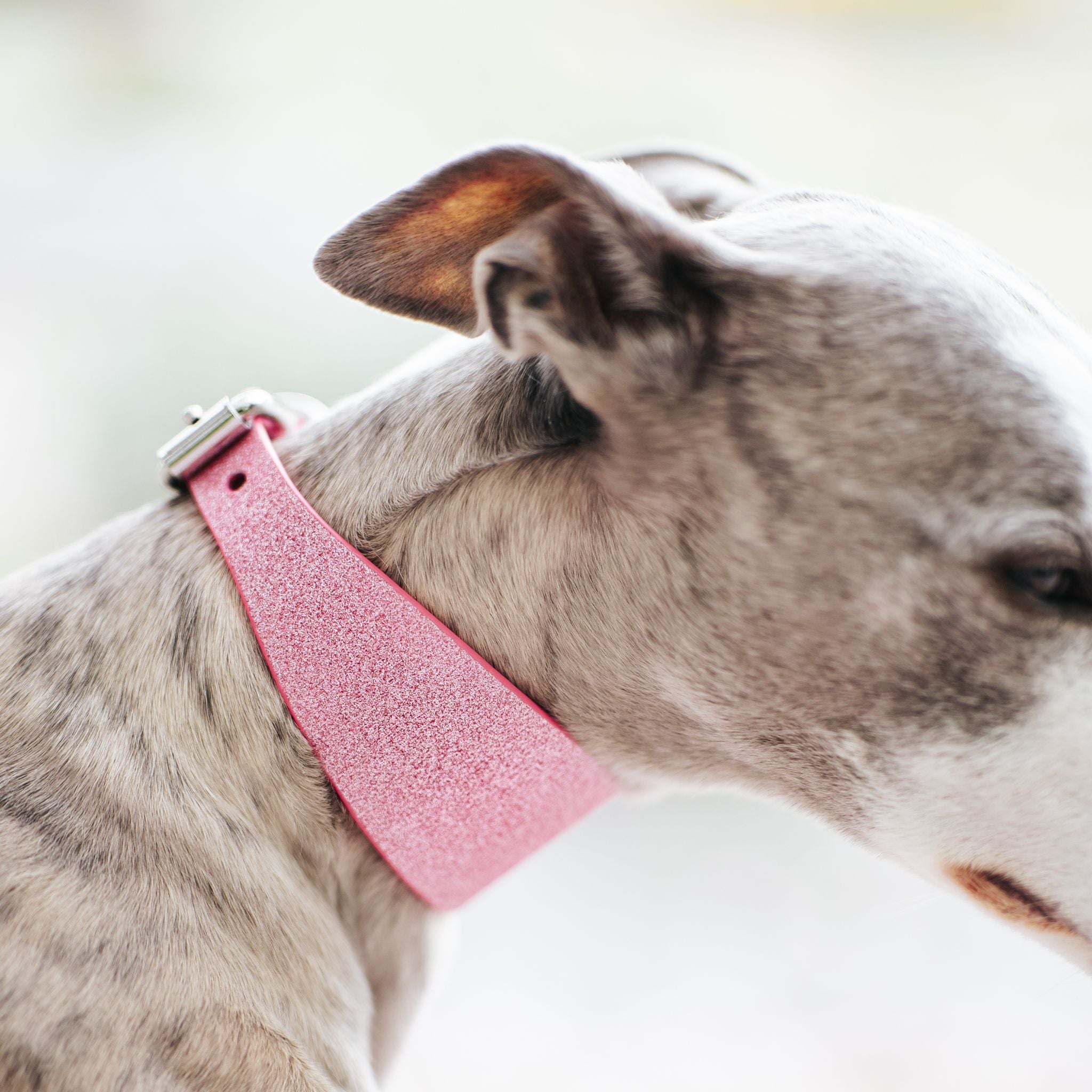 pink-glitter-medium-wide-whippet.jpg