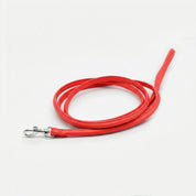 Pure Red Dog Lead