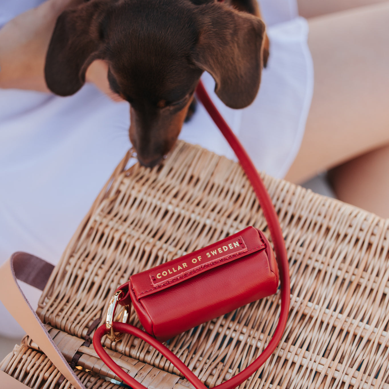 red-poop-bag-holder-enviroment.jpg