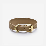 Reflective Bronze Dog Collar Thin