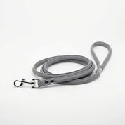 Reflective Silver Dog Lead