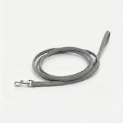 Reflective Silver Dog Lead