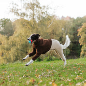 Beige & Brown Sighthound Fleece Onesie