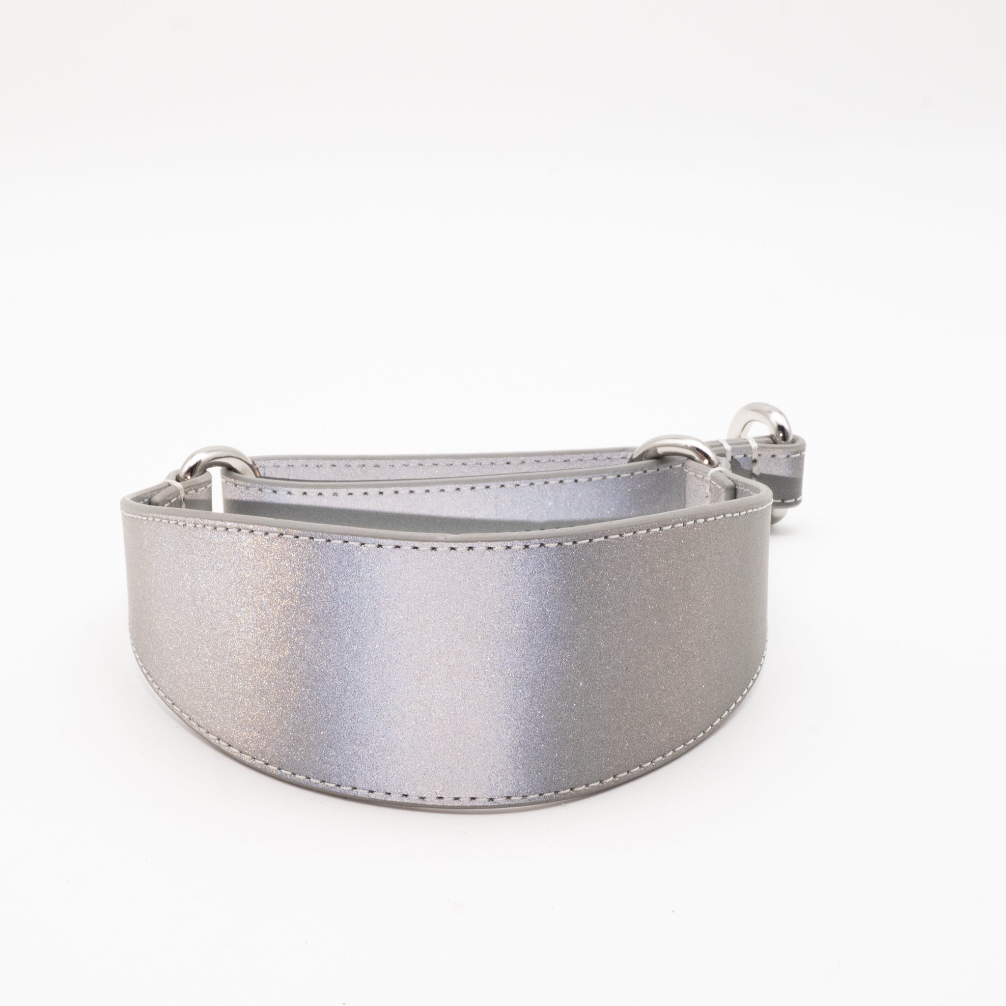 silver-reflective-martingale-dog-collar-wide-front.jpg