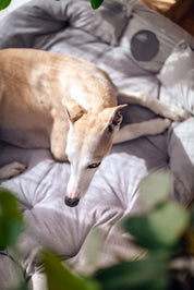 Grey Dog Bed 3in1