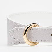 White Dog Collar Wide